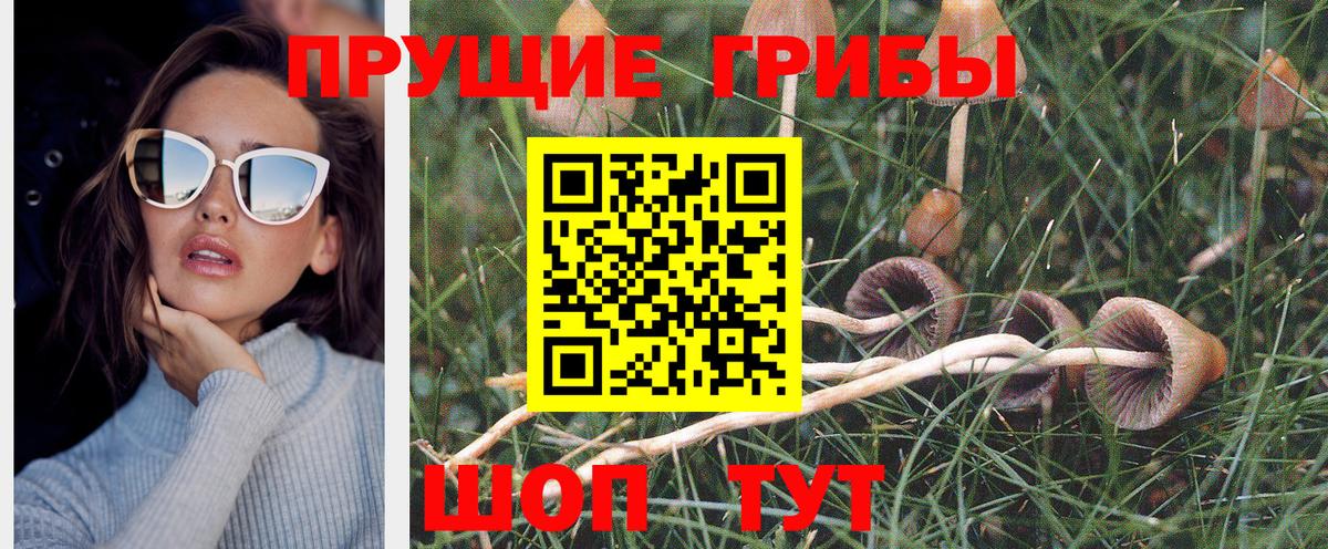 Каменск-Уральский  Галлюциногенные грибы мицелий  Вход с VPN 