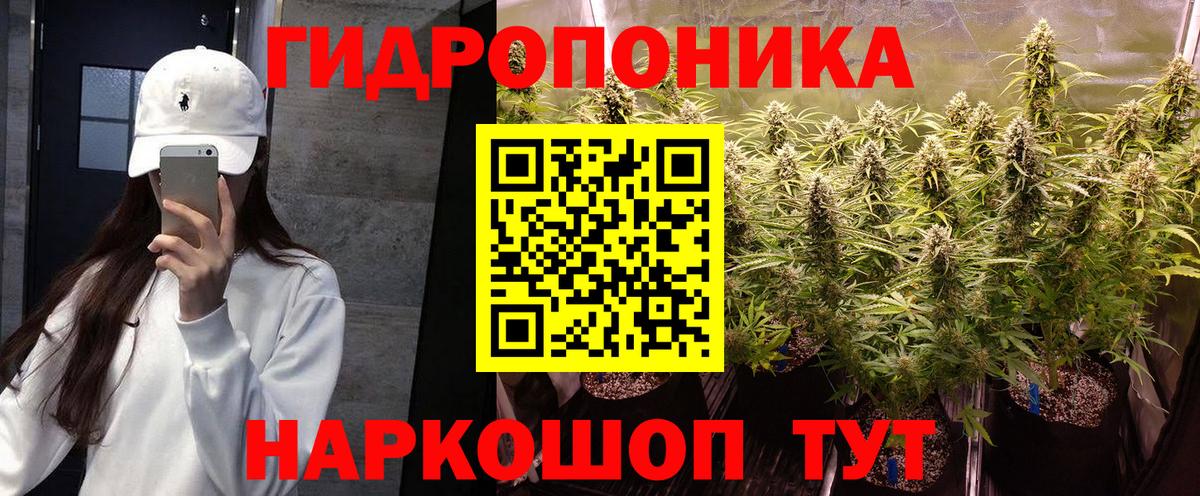 Бошки марихуана сатива Каменск-Уральский